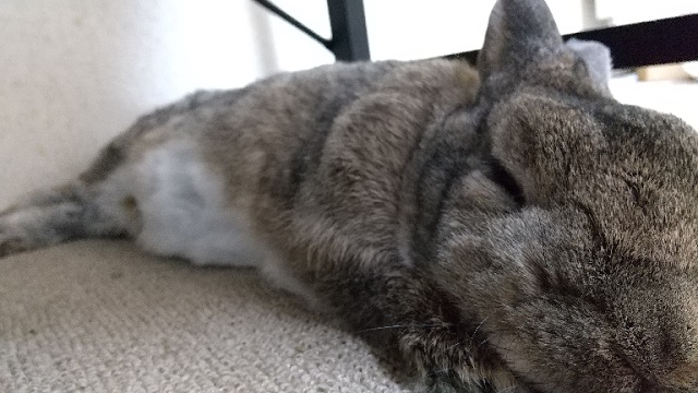 f:id:akirosso:20210119202921j:plain