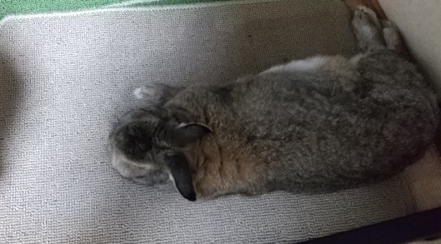 f:id:akirosso:20210119203700j:plain