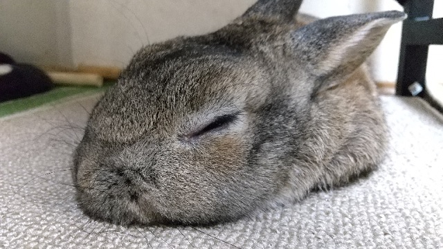 f:id:akirosso:20210119203711j:plain