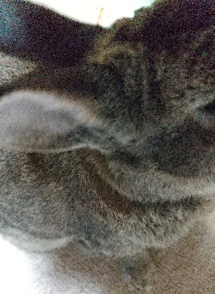 f:id:akirosso:20210127204745j:plain