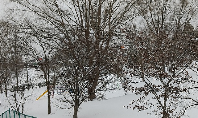 f:id:akirosso:20210129150122j:plain