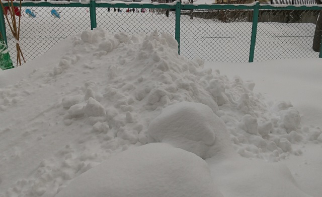 f:id:akirosso:20210129155235j:plain