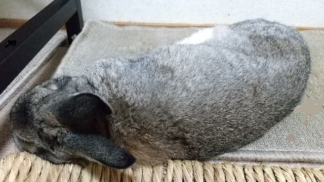 f:id:akirosso:20210130193240j:plain