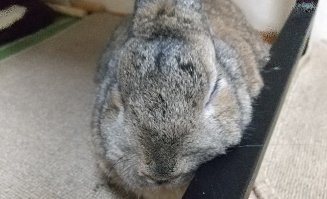 f:id:akirosso:20210203191328j:plain