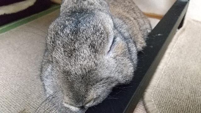 f:id:akirosso:20210203192028j:plain