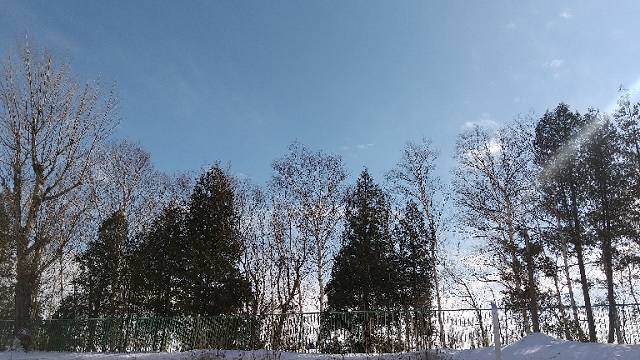 f:id:akirosso:20210223160537j:plain