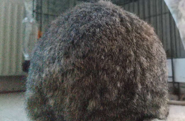 f:id:akirosso:20210224190628j:plain