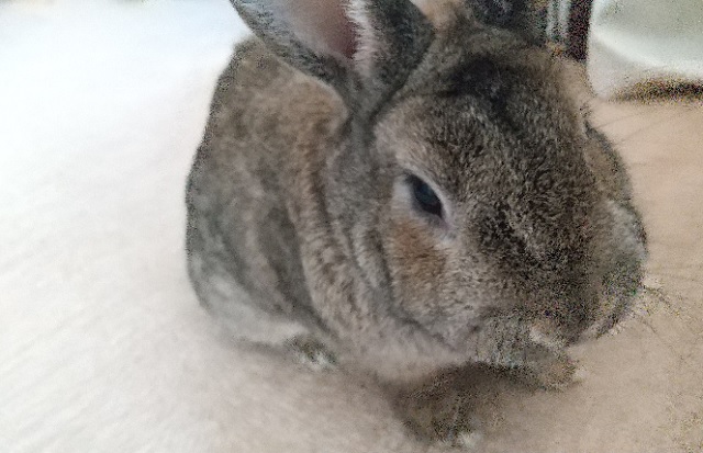 f:id:akirosso:20210224191932j:plain