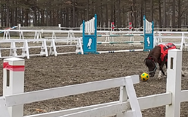 f:id:akirosso:20210510193258j:plain
