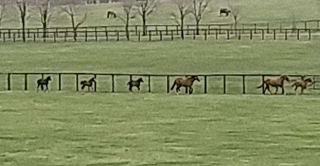 f:id:akirosso:20210510215440j:plain