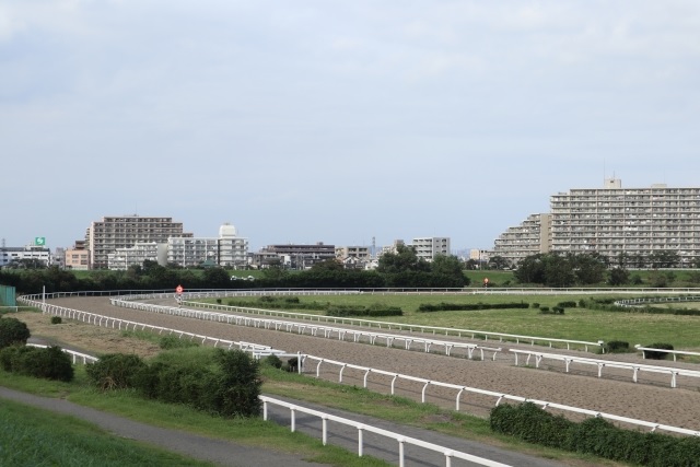 面白い競走馬名 地方競馬 川崎競馬場編 搾りたて生アキロッソ 面白い競走馬名 地方競馬 川崎競馬場編 搾りたて生アキロッソ