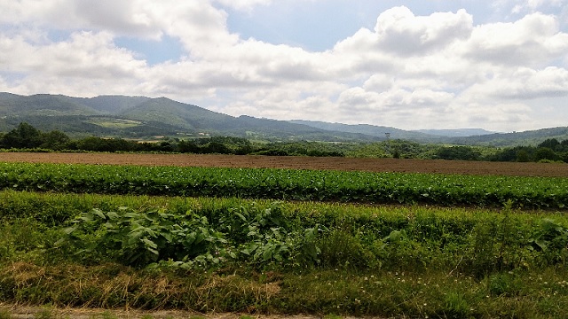 f:id:akirosso:20210718160742j:plain