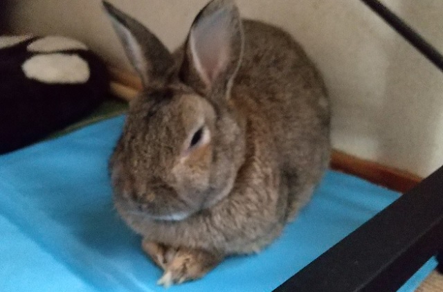 f:id:akirosso:20210813153340j:plain