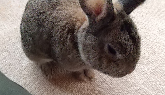 f:id:akirosso:20210813160009j:plain