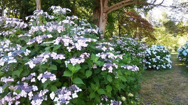 f:id:akirosso:20210819221939j:plain