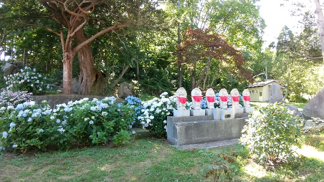 f:id:akirosso:20210819222320j:plain