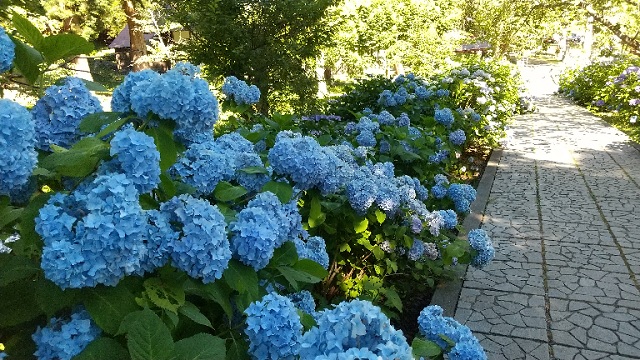 f:id:akirosso:20210819222452j:plain