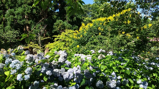 f:id:akirosso:20210819222512j:plain