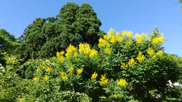 f:id:akirosso:20210819222557j:plain