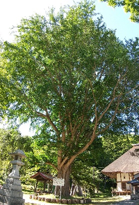 f:id:akirosso:20210819222808j:plain