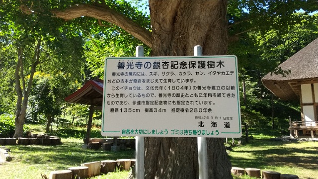 f:id:akirosso:20210819222858j:plain