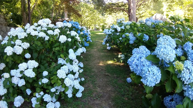 f:id:akirosso:20210820133136j:plain