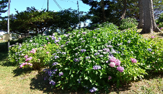 f:id:akirosso:20210820133239p:plain