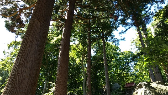 f:id:akirosso:20210820141945j:plain