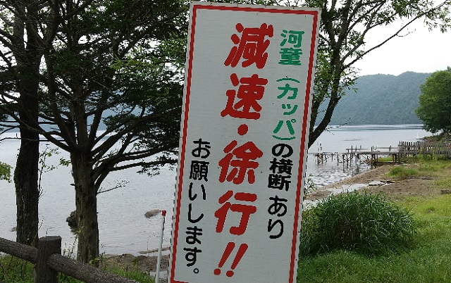 f:id:akirosso:20210908215626j:plain