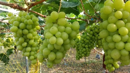 f:id:akirosso:20210916211840j:plain