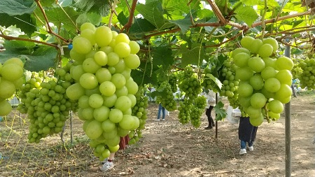 f:id:akirosso:20210916211919j:plain