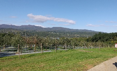 f:id:akirosso:20210916212225j:plain