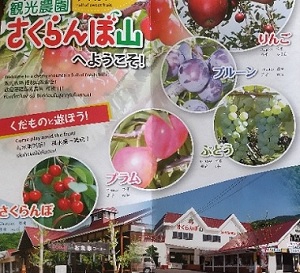 f:id:akirosso:20210916212921j:plain