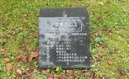 f:id:akirosso:20211008144110j:plain