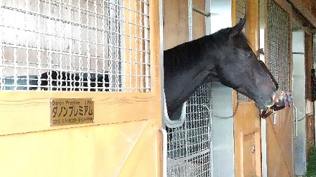 f:id:akirosso:20211015131201j:plain