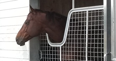 f:id:akirosso:20211015133827j:plain