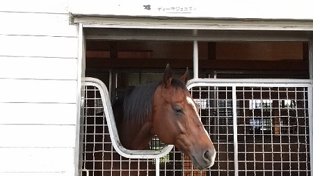 f:id:akirosso:20211015135203j:plain