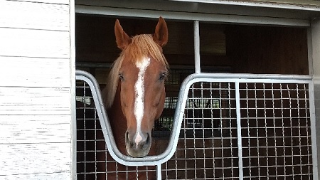 f:id:akirosso:20211015135448j:plain