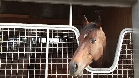 f:id:akirosso:20211015141106j:plain