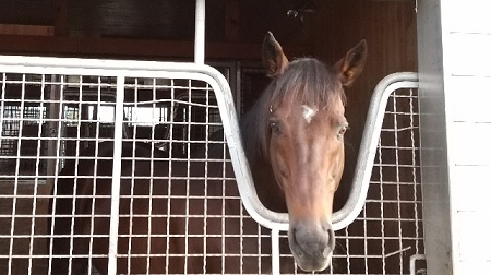 f:id:akirosso:20211015141144j:plain