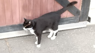 f:id:akirosso:20211015194218j:plain