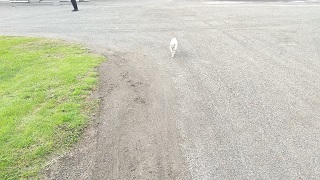 f:id:akirosso:20211015194826j:plain