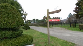 f:id:akirosso:20211015200459j:plain