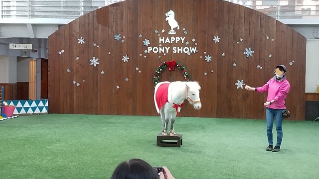 クリスマス特別ポニーショーのセサミくんが可愛かった～ノーザンホース