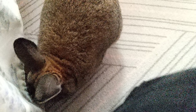 f:id:akirosso:20220101124736j:plain