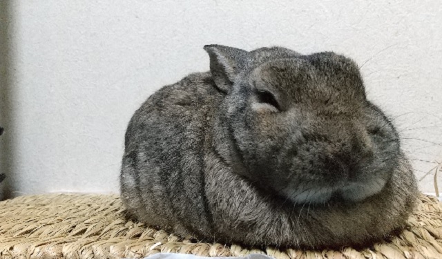 f:id:akirosso:20220101125002j:plain