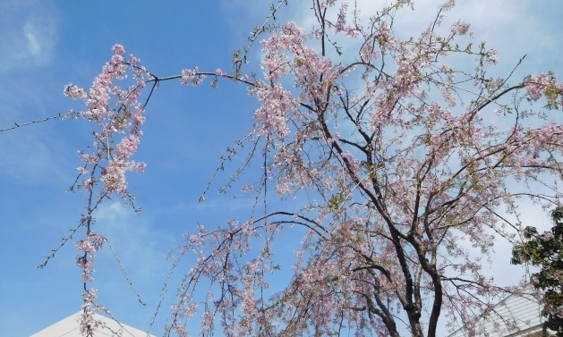 f:id:akirosso:20220110140811j:plain
