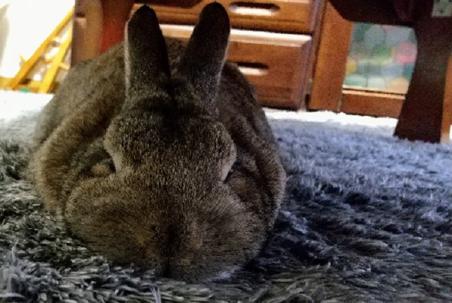 f:id:akirosso:20220212163709j:plain