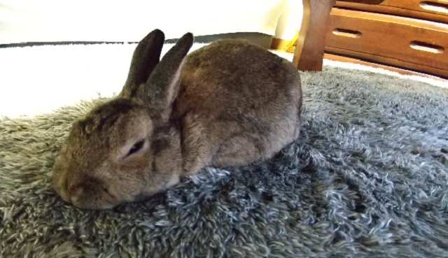 f:id:akirosso:20220212163749j:plain