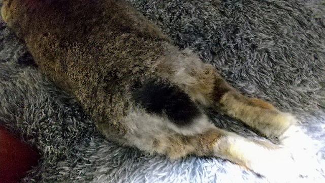 f:id:akirosso:20220212164537j:plain